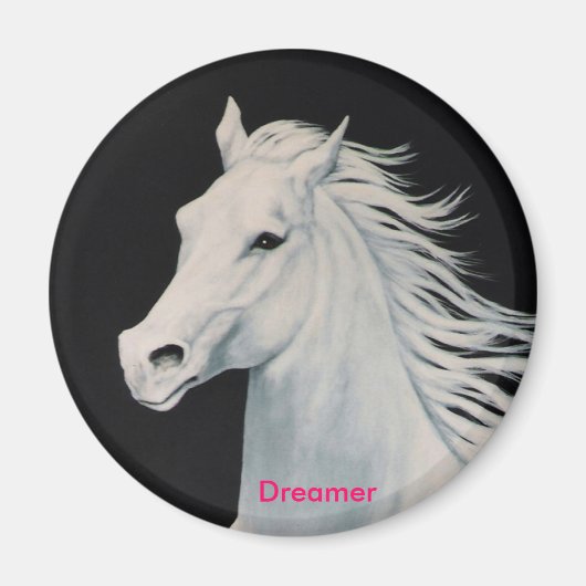 dromer magneet (Voorkant)