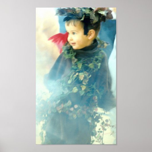 dromer poster (Voorkant)