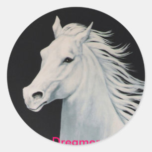 dromer ronde sticker