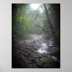 dromerig boslicht poster