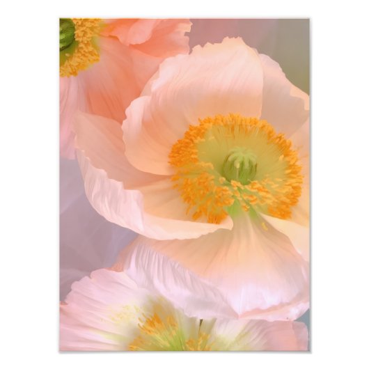 Dromerig Foto Afdruk (Voorkant)