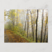 Dromerig herfstpark briefkaart (Voorkant)