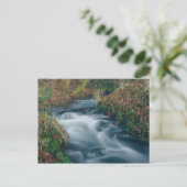 Dromerig stream briefkaart (Staand voorkant)