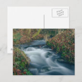 Dromerig stream briefkaart (Voorkant / Achterkant)