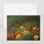 Dromerige afbeelding van fijne afbeeldingkunst van briefkaart (Voorkant / Achterkant)