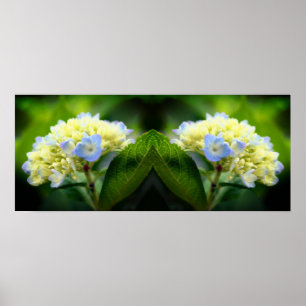 Dromerige Blauwe Hydrangea Bloemspiegel Abstract Poster