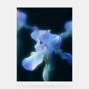 Dromerige Blauwe Iris Bloemige Muur Kunst Poster