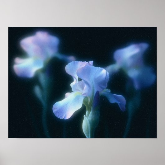 Dromerige Blauwe Iris Bloemige Muur Kunst Poster (Voorkant)