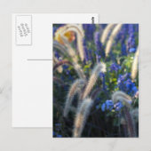 Dromerige Bloemenweide Briefkaart (Voorkant / Achterkant)