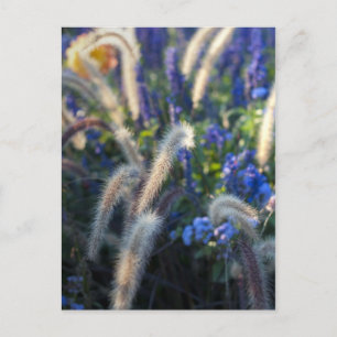 Dromerige Bloemenweide Briefkaart