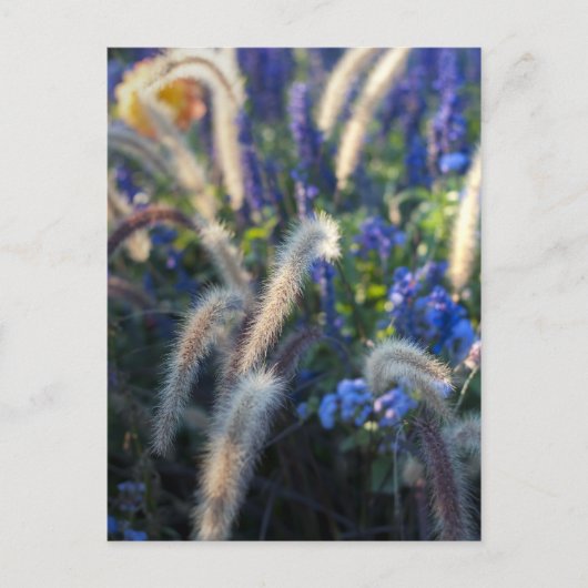Dromerige Bloemenweide Briefkaart (Voorkant)