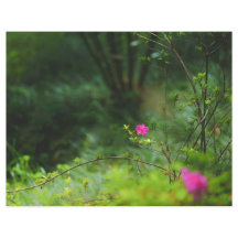 Dromerige bos bloem Scrapbook Papier