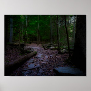 Dromerige bossen met Rock Trail Poster
