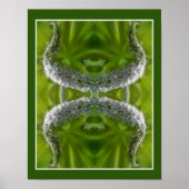 Dromerige Curling Witte Wilde Bloem Abstract Poster (Voorkant)