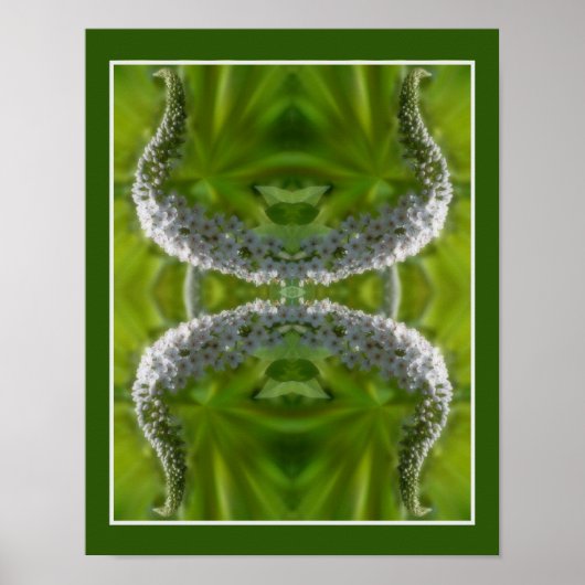 Dromerige Curling Witte Wilde Bloem Abstract Poster (Voorkant)