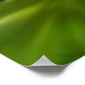 Dromerige Curling Witte Wildflower Spiegel Abstrac Poster (Hoek)