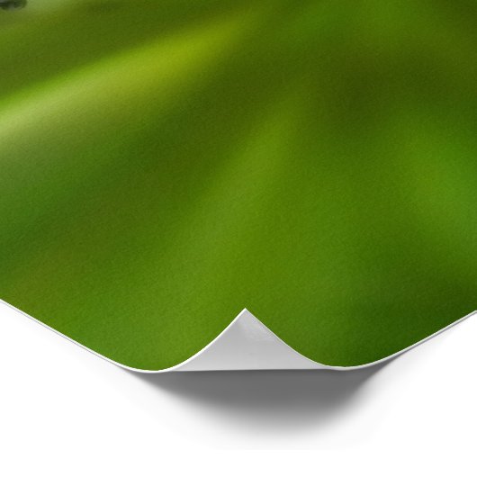 Dromerige Curling Witte Wildflower Spiegel Abstrac Poster (Hoek)