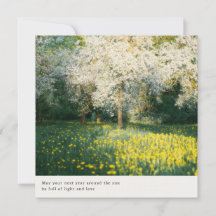 Dromerige en zachte lente bloesem esthetische groe