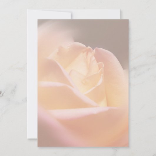 Dromerige Gele Roos Bloemenfeest Kaart (Achterkant)