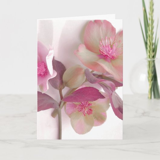 Dromerige Hellebores Papieren Placemat Bedankkaart (Voorkant)