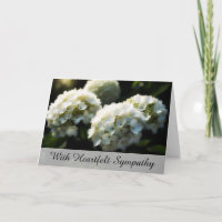 *~* Dromerige Hydrangia TV2 Sympathie Liefde Licht