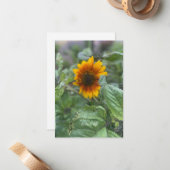 Dromerige kleine zonnebloem notitiekaartje (Voorkant / Achterkant in situ)