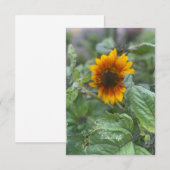 Dromerige kleine zonnebloem notitiekaartje (Voorkant / Achterkant)