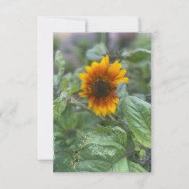 Dromerige kleine zonnebloem notitiekaartje