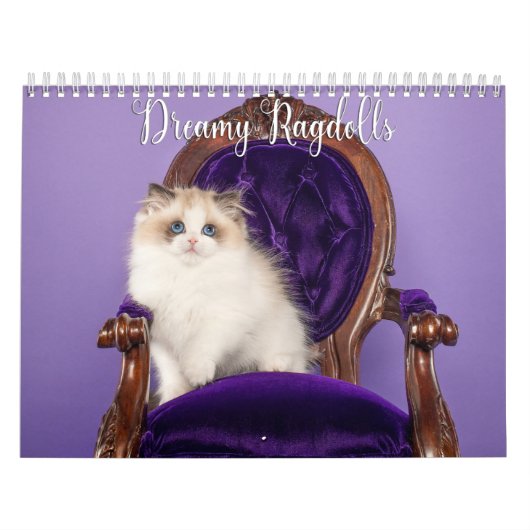 Dromerige Lapjeskatten en Kittens Kalender (Hoes)