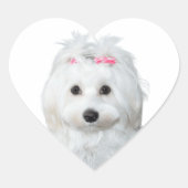 Dromerige Maltese Heerlijke Pup Hart Sticker (Voorkant)