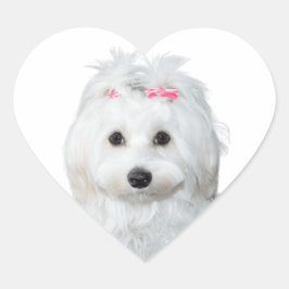Dromerige Maltese Heerlijke Pup Hart Sticker