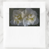 Dromerige Narcissus narcissen Rechthoekige Sticker (Tas)