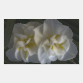 Dromerige Narcissus narcissen Rechthoekige Sticker