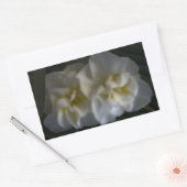 Dromerige Narcissus narcissen Rechthoekige Sticker (Envelop)