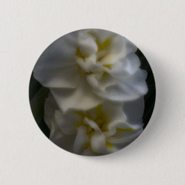 Dromerige Narcissus narcissen Ronde Button 5,7 Cm