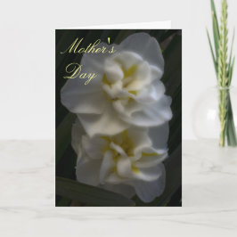 Dromerige Narcissus Narcissus Daffodils Moederdag Kaart