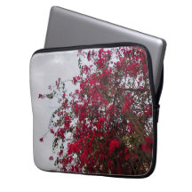 Dromerige Rode Bougainvillea Bloemrijke Natuurfoto
