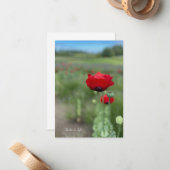 Dromerige rode klaproos notitiekaartje (Voorkant / Achterkant in situ)