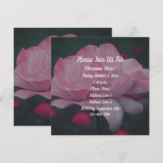 Dromerige Roze Rose Bloemen Kaart (Voorkant / Achterkant)