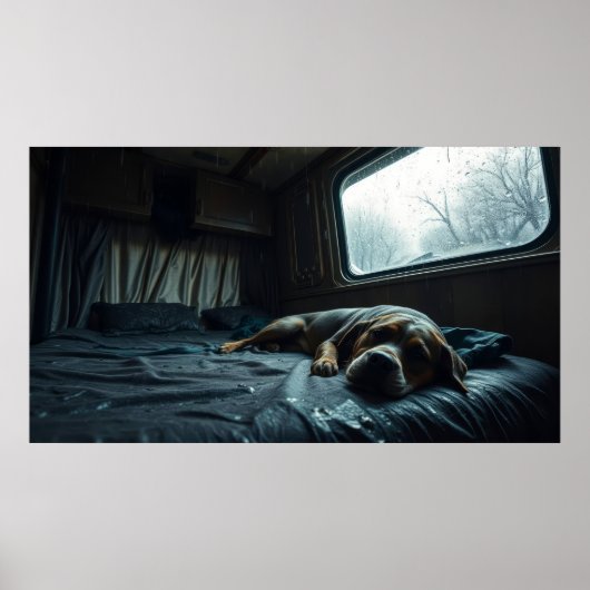 Dromerige RV-honden slaap Poster (Voorkant)