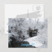 Dromerige Sneeuw Horizontaal Briefkaart (Voorkant / Achterkant)