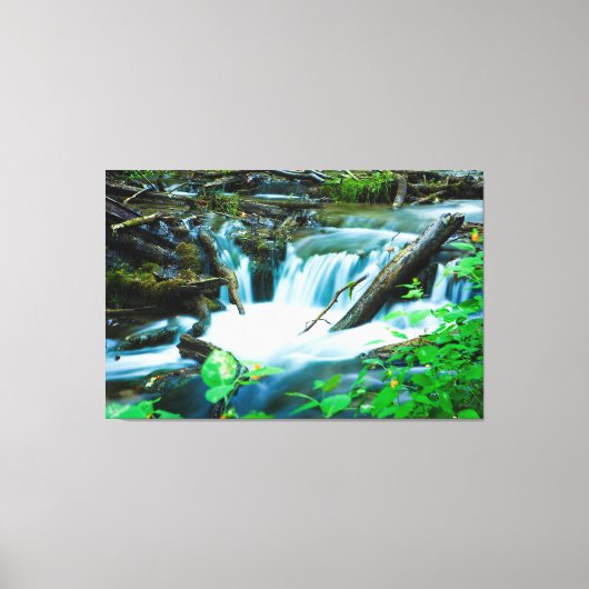 dromerige stromende stroom canvas afdruk (Voorkant)