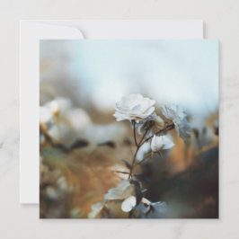 Dromerige witte tuinrozen met zachte vintage bokeh feestdagenkaart