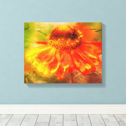 Dromerige Zinnia Bloem Verdrietig Canvas Afdruk (Insitu (Houten vloer))