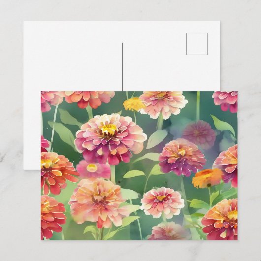 Dromerige Zinnia-bloemen Briefkaart (Voorkant / Achterkant)
