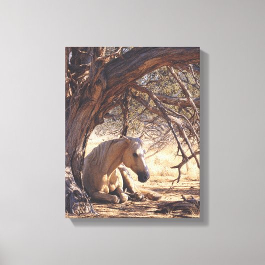 Dromerige Zonsondergang Paard Bos Schilderij Canvas Afdruk (Voorkant)