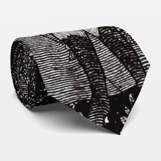 dromland 1894 stropdas (Opgerold)