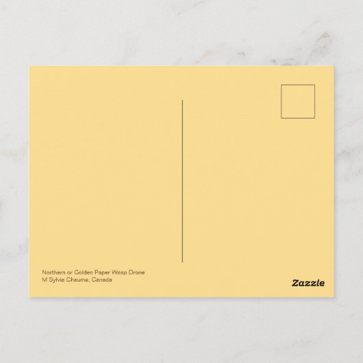 Drone (P. fuscatus) Briefkaart (Achterkant)