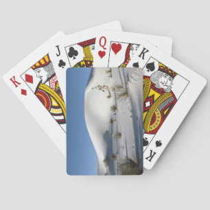 Dronken en Soaptree Yucca Pokerkaarten