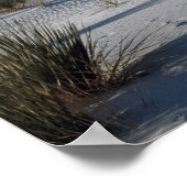 Dronken en Soaptree Yucca Poster (Hoek)